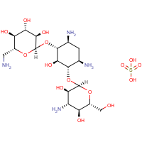 CAS: 25389-94-0 | BIG1036 | Kanamycin Solution (100mg/ml)