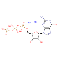 CAS:56001-37-7 | BIG4005 | Guanosine-5'-triphosphate disodium salt