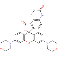 CAS: | BII7026 | 5(6)-Iodoacetamidomorpholinorhodamine