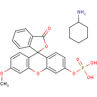 CAS: 21233-09-0 | BIM0145 | 3-O-Methylfluoresceinphosphate cyclohexylammonium salt