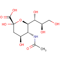 CAS: 131-48-6 | BIM1062 | N-Acetylneuraminic acid