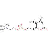 CAS: 97055-84-0 | BIM4180 | 4-Methylumbelliferyl phosphocholine