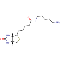 CAS:115416-38-1 | BIMB102 | 5-(Biotinamido)pentylamine