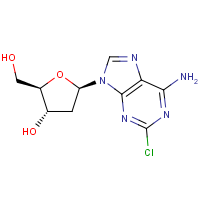 CAS:4291-63-8 | BIMN2008 | 2-Chloro-2'-deoxyadenosine