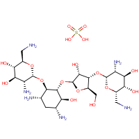 CAS: 1405-10-3 | BIN0135 | Neomycin sulphate