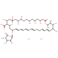 CAS: 1400-61-9 | BIN0138 | Nystatin dihydrate