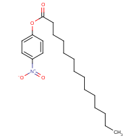 CAS:14617-85-7 | BIN0440 | 4-Nitrophenyl myristate