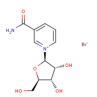 CAS:78687-39-5 | BIN0700 | Nicotinamide-beta-D-riboside bromide