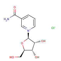 CAS: 23111-00-4 | BIN0701 | Nicotinamide-beta-D-riboside chloride