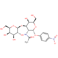 CAS:59837-14-8 | BIN1005 | 4-Nitrophenyl galacto-N-bioside