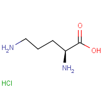 CAS:3184-13-2 | BIO1005 | L-Ornithine hydrochloride