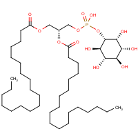 CAS:97281-52-2 | BIP0140 | L-alpha-Phosphatidylinositol from Glycine max (soybean)