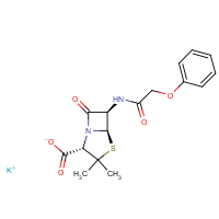 CAS:132-98-9 | BIP0143 | Penicillin V potassium