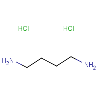 CAS:333-93-7 | BIP0733 | Putrescine dihydrochloride