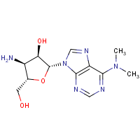 CAS:58-60-6 | BIP1001 | Puromycin aminonucleoside