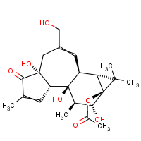 CAS:32752-29-7 | BIP1011 | Phorbol 13-Acetate