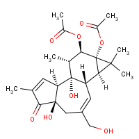 CAS: 24928-15-2 | BIP1014 | Phorbol 12,13-diacetate