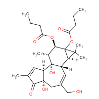 CAS:93781-54-5 | BIP1015 | 4-alpha-Phorbol 12,13-dibutyrate