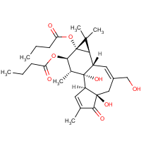CAS:37558-16-0 | BIP1016 | Phorbol 12,13-Dibutyrate