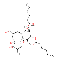 CAS:37558-17-1 | BIP1019 | Phorbol 12,13-Dihexanoate