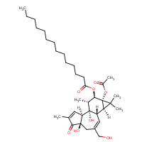 CAS:16561-29-8 | BIP1020 | Phorbol 12-Myristate 13-Acetate