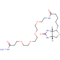 CAS: 756525-97-0 | BIP216 | Biotin PEG Hydrazide