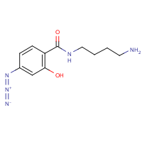 CAS:176049-73-3 | BIPA116 | 4-(4-Azidosalicylamido)butylamine