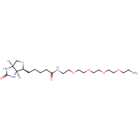 CAS: 663171-32-2 | BIPG1209 | Biotin-PEG4-Amine