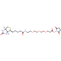CAS: 1253286-56-4 | BIPG1229 | Biotin-PEG3-NHS ester