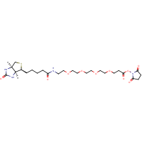 CAS: 459426-22-3 | BIPG1230 | Biotin-PEG4-NHS ester