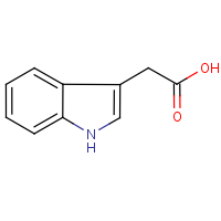 CAS: 87-51-4 | BIPI364 | Indole-3-acetic acid solution (1 mg/mL)