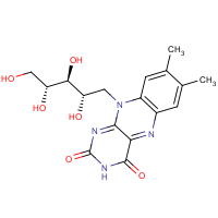 CAS: 83-88-5 | BIR0613 | Riboflavine