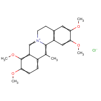 CAS:10605-03-5 | BISN0281 | Dehydrocorydaline chloride