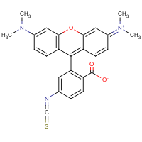 CAS:95197-95-8 | BIT3022 | 5(6)-Tetramethylrhodamine isothiocyanate