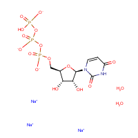 CAS:116295-90-0 | BIU0402 | Uridine-5'-triphosphate trisodium salt dihydrate