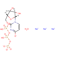 CAS:19817-92-6 | BIU0403 | Uridine 5'-Triphosphate Trisodium Salt n-Hydrate