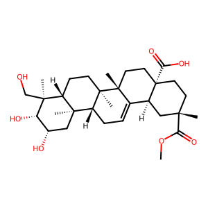 CAS: 1802-12-6 | BUP00199 | Phytolaccagenin
