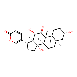 CAS: 17008-69-4 | BUP00411 | Pseudobufarenogin