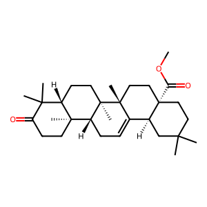 CAS: 1721-58-0 | BUP01770 | Methyl oleanonate