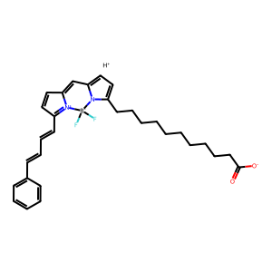CAS: 217075-36-0 | BUP05487 | BODIPY 581/591 C11
