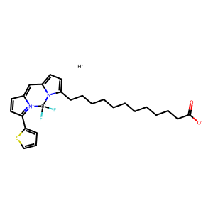 CAS: 158757-84-7 | BUP22239 | BODIPY 558/568 C12