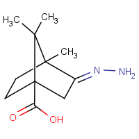 CAS:539807-41-5 | OR015024 | 3-Hydrazono-4,7,7-trimethylbicyclo[2.2.1]heptane-1-carboxylic acid
