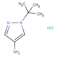 CAS:1258640-05-9 | OR019111 | 1-tert-Butyl-1H-pyrazol-4-amine hydrochloride