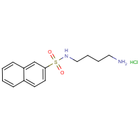 CAS:89108-46-3 | OR0300T | N-(4-Aminobutyl)-2-naphthalenesulphonamide hydrochloride