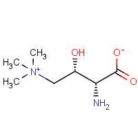 CAS: 98063-21-9 | OR0340T | (R)-Aminocarnitine