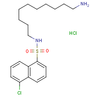 CAS:79127-24-5 | OR0375T | N-(10-Aminodec-1-yl)-5-chloronaphthalene-1-sulphonamide hydrochloride