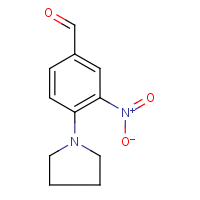 CAS: 284679-97-6 | OR0689 | 3-Nitro-4-(pyrrolidin-1-yl)benzaldehyde