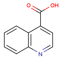 CAS:486-74-8 | OR0731 | Quinoline-4-carboxylic acid