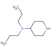 CAS:675136-96-6 | OR0877 | 4-(Dipropylamino)piperidine