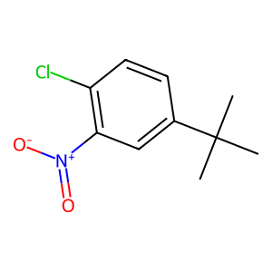 CAS: 58574-05-3 | OR1001919 | 4-(tert-Butyl)-1-chloro-2-nitrobenzene